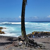 Hawaiian Paradise Vacation Rentals - Other in Pahoa