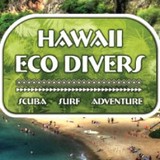 Hawaii Eco Divers & Surf Adventures - Other in Haleiwa