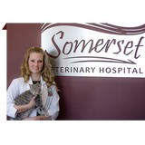 Feiz Charles DVM - Veterinarians/Vets in Ames