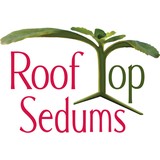 Rof Top Sedums - Roofing in Davenport