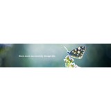 Americana Leadership College - Other in Osceola