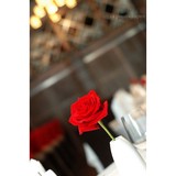 Zins Restaurant - Restaurants in Cedar Rapids