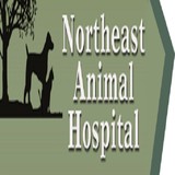 Northeast Animal Hospital - Veterinarians/Vets in Mount Pleasant