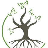 Five Oaks Chiropractic LLC - Chiropractors in Ames
