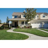 Coppes Termite & Pest Control - Pest Control in Burlington