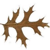 Pin Oaks Pub Links & Event Center - Restaurants in Manchester