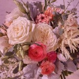Bloom Works - Other in Council Bluffs