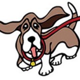 Leash on Life - Other in Iowa City