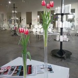 Azure Hair Studio LLC - Hair Salons in Boise