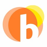 Boise Analytics - Software Development in Boise