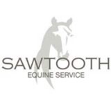 Sawtooth Equine Service - Veterinarians/Vets in Bellevue