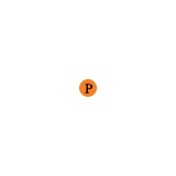 Peasley Transfer Storage - Movers & Removals in Boise