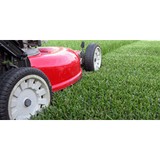 Green & Lawn Care Landscp Inc - Landscape Architects in Boise
