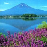 Fujiyama Japanese Restaurant - Restaurants in Boise
