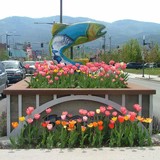 Post Fall Chamber Of Commerce - Other in Post Falls