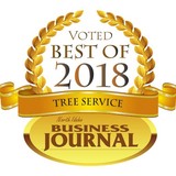 Grace Tree Service Inc - Other in Hayden