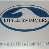 Little Swimmers LLC - Other in Eagle