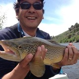 Wood River Drywall - Other in Ketchum