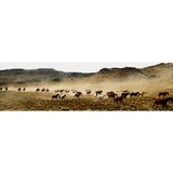 Silver Spur Ranch Idaho - Other in Dubois