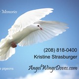 Angel Wings Doves - Other in Spirit Lake
