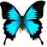 Mariposa Labs, LLC - Manufacturer in Boise