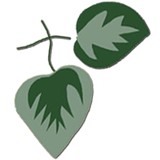 Aspen Nursery - Other in Post Falls