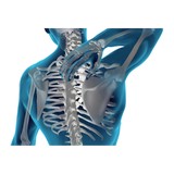 Boise Valley Sports Medicine - Chiropractors in Boise