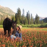 Harriman Trail Rides - Other in Island Park