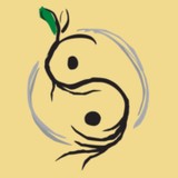 Root Health--Acupuncture & Chinese Herbs - Other in Moscow