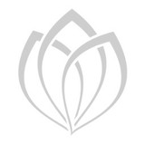 ReBlume Medical - Other in Ketchum