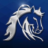 Bronco Motors Hyundai - Car Dealers in Boise