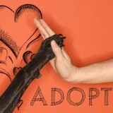 Snake River Animal Shelter Inc - Other in Idaho Falls
