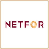Netfor Inc - Web Design & Development in Fishers