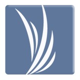 Rest Haven Home Care Solutions - Other in Saint John