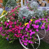 Shipshewana Retail Merchants - Other in Shipshewana