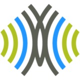 Chrysalis Consulting LLC - Business Consulting in Carmel