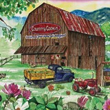 Country Cookin Inc - Restaurants in Salem