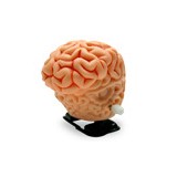 Idiz Incorporated - Advertising in Indianapolis