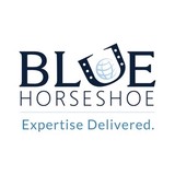Blue Horseshoe Solutions - Business Consulting in Carmel