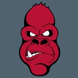 Angry Ape Creative LLC - Advertising in Indianapolis