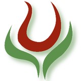 Steve's Flowers & Gifts - Florists in Indianapolis