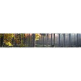 Mahoney Law Office - Solicitors & Lawyers in Petersburg