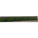 Newburgh Lawn and Landscape - Landscaping in Newburgh