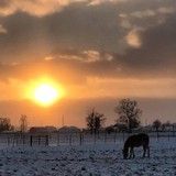 A Thankful Heart - Souvenir Shops in Shipshewana