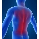 Anderson Chiropractic - Chiropractors in Terre Haute