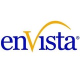 Envista LLC - Business Consulting in Carmel