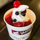 Yumz Gourmet Frozen Yogurt - Food & Related Products in Indianapolis