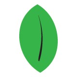 Smoot Landscaping - Landscape Architects in Albany