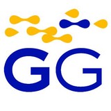 Guilford Group LLC - Business Consulting in Carmel