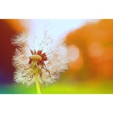 Brenda Staples Photography - Commercial Photography in Indianapolis